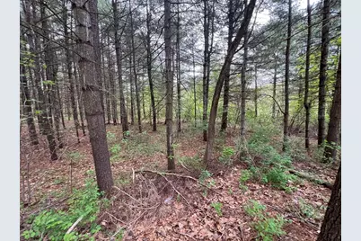 62-91 Lawrence Street, Palmer, MA 01069 - Photo 6