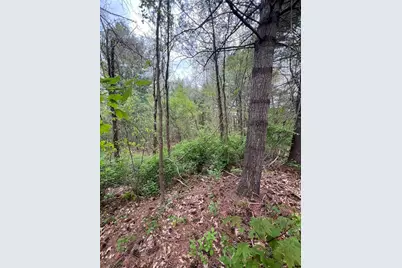 Lots 39-42 Lawrence, Palmer, MA 01069 - Photo 4