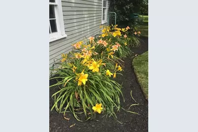 52 Salem St, Andover, MA 01810 - Photo 40