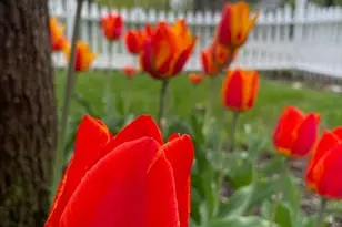 52 Salem St, Andover, MA 01810 - Photo 36