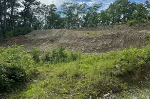 33 Walsh Ave, Auburn, MA 01501 - Photo 1