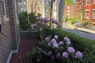 15 Colliston Rd, Boston, MA 02135 - Photo 14
