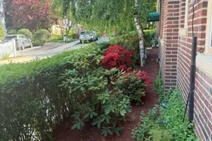 15 Colliston Rd, Boston, MA 02135 - Photo 12