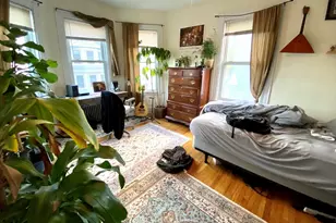 3 Oswald St, Boston, MA 02120 - Photo 12