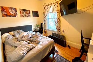 3 Oswald St, Boston, MA 02120 - Photo 4