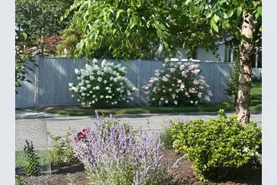 136 Sanddollar Circle, Falmouth, MA 02536 - Photo 4