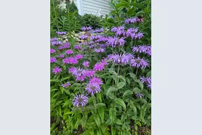 18 Kensington, Plymouth, MA 02360 - Photo 28