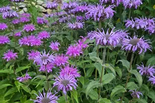 18 Kensington, Plymouth, MA 02360 - Photo 28