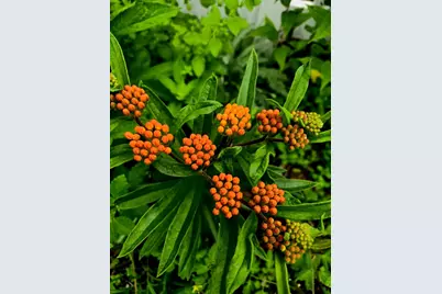 18 Kensington, Plymouth, MA 02360 - Photo 30