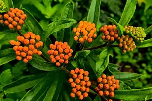 18 Kensington, Plymouth, MA 02360 - Photo 30