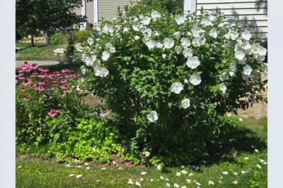 18 Kensington, Plymouth, MA 02360 - Photo 26