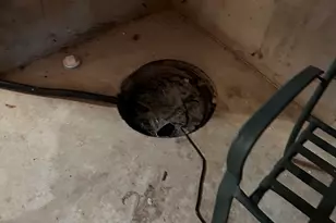 136 Dean St, Taunton, MA 02780 - Photo 8