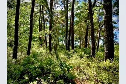 37 Oak Valley Rd, Wellfleet, MA 02667 - Photo 4