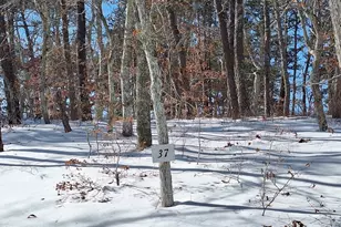 37 Oak Valley Rd, Wellfleet, MA 02667 - Photo 1