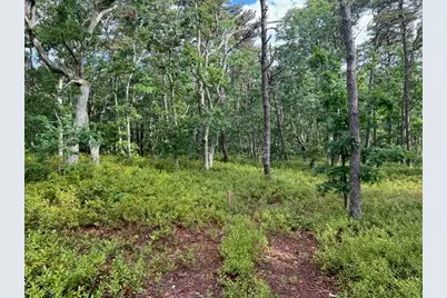 37 Oak Valley Rd, Wellfleet, MA 02667 - Photo 1