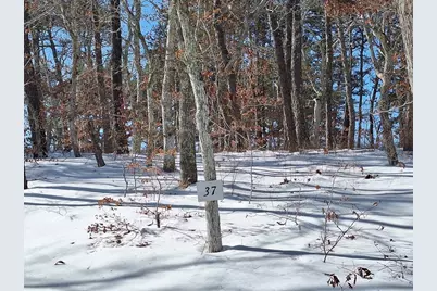 37 Oak Valley Rd, Wellfleet, MA 02667 - Photo 2