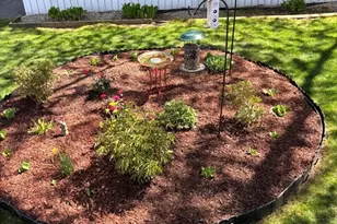 250 Mansfield Ave, Norton, MA 02766 - Photo 22