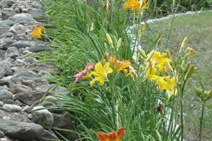 162 Sherbert Rd, Ashburnham, MA 01430 - Photo 30