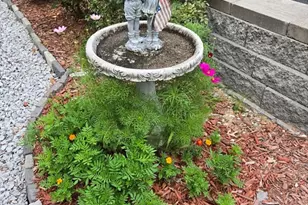 46 Rosewood Ave, Billerica, MA 01821 - Photo 4