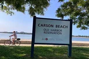 33 Ward St, Boston, MA 02127 - Photo 16