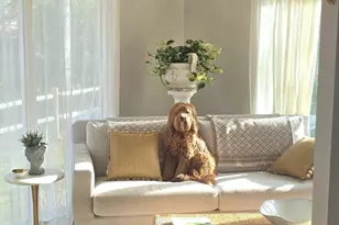 16 Bosun's Ln, Mashpee, MA 02649 - Photo 12