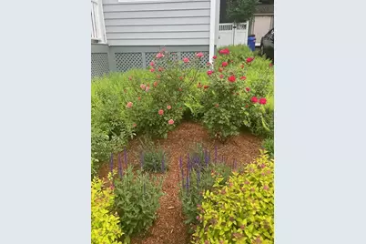 77 Lynde Street, Melrose, MA 02176 - Photo 28