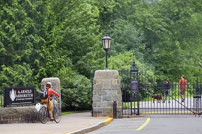 25 Custer #303, Boston, MA 02130 - Photo 20