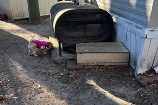 235 New Yorker Ave, Chelmsford, MA 01824 - Photo 18