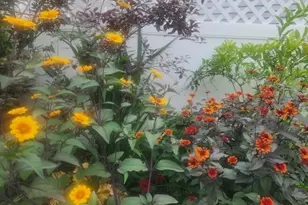 37 Laurel Ave, Haverhill, MA 01835 - Photo 34