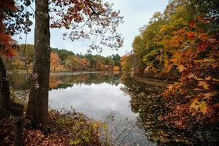 557 Dutton Rd, Sudbury, MA 01776 - Photo 4