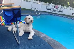 42 Pentucket Ave, Lowell, MA 01852 - Photo 40