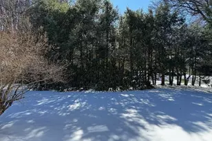 49 Metcalf St, Worcester, MA 01609 - Photo 36