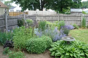 854 Grayson Dr, Springfield, MA 01119 - Photo 38