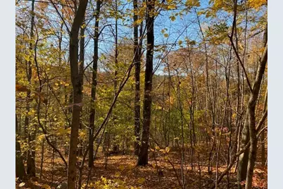 539 Fox Hill Road, Bernardston, MA 01337 - Photo 2