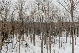 0 Blueberry Hill Rd (Lot 6), Westhampton, MA 01027 - Photo 8