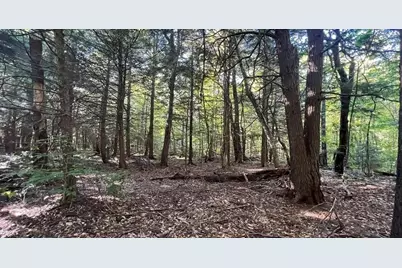 0 Gentian Hollow Rd, Becket, MA 01223 - Photo 4