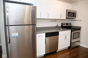 45 Carlton, Brookline, MA 02446 - Photo 2