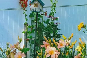 41 Court St, Chatham, MA 02650 - Photo 36