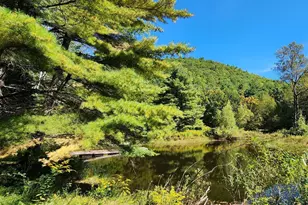 2151 Route 2, Charlemont, MA 01339 - Photo 14