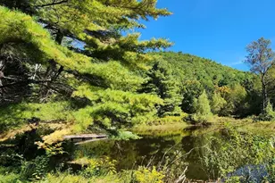 2151 Route 2, Charlemont, MA 01339 - Photo 14