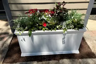 63 Amity Pl, Amherst, MA 01002 - Photo 34