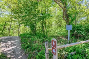 169 Tisquantum, Chatham, MA 02633 - Photo 36
