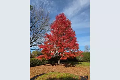 2 Oak St, Easthampton, MA 01027 - Photo 36