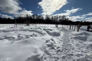 311 Cummington Rd, Ashfield, MA 01330 - Photo 8