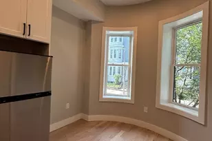 35 Delle Ave, Boston, MA 02120 - Photo 2