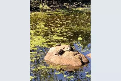 2 Bellevue Road, Arlington, MA 02476 - Photo 38