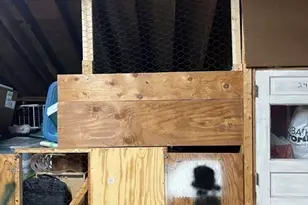 5 Kenmar Dr, Billerica, MA 01821 - Photo 16