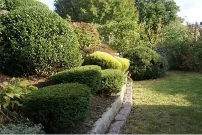 19 S Crescent Circuit, Boston, MA 02135 - Photo 18