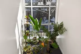 11 Cogswell Ave, Cambridge, MA 02140 - Photo 14