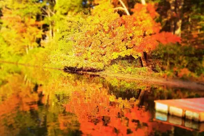 20 Litchfield Ave, Norfolk, MA 02056 - Photo 26